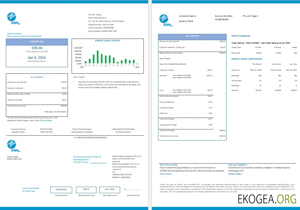 USA FPL  electricity utility bil Word and PDF formats, 2 pages, version 2